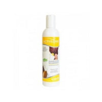 ACTIVILONG - SHAMPOO KARITE 250ML